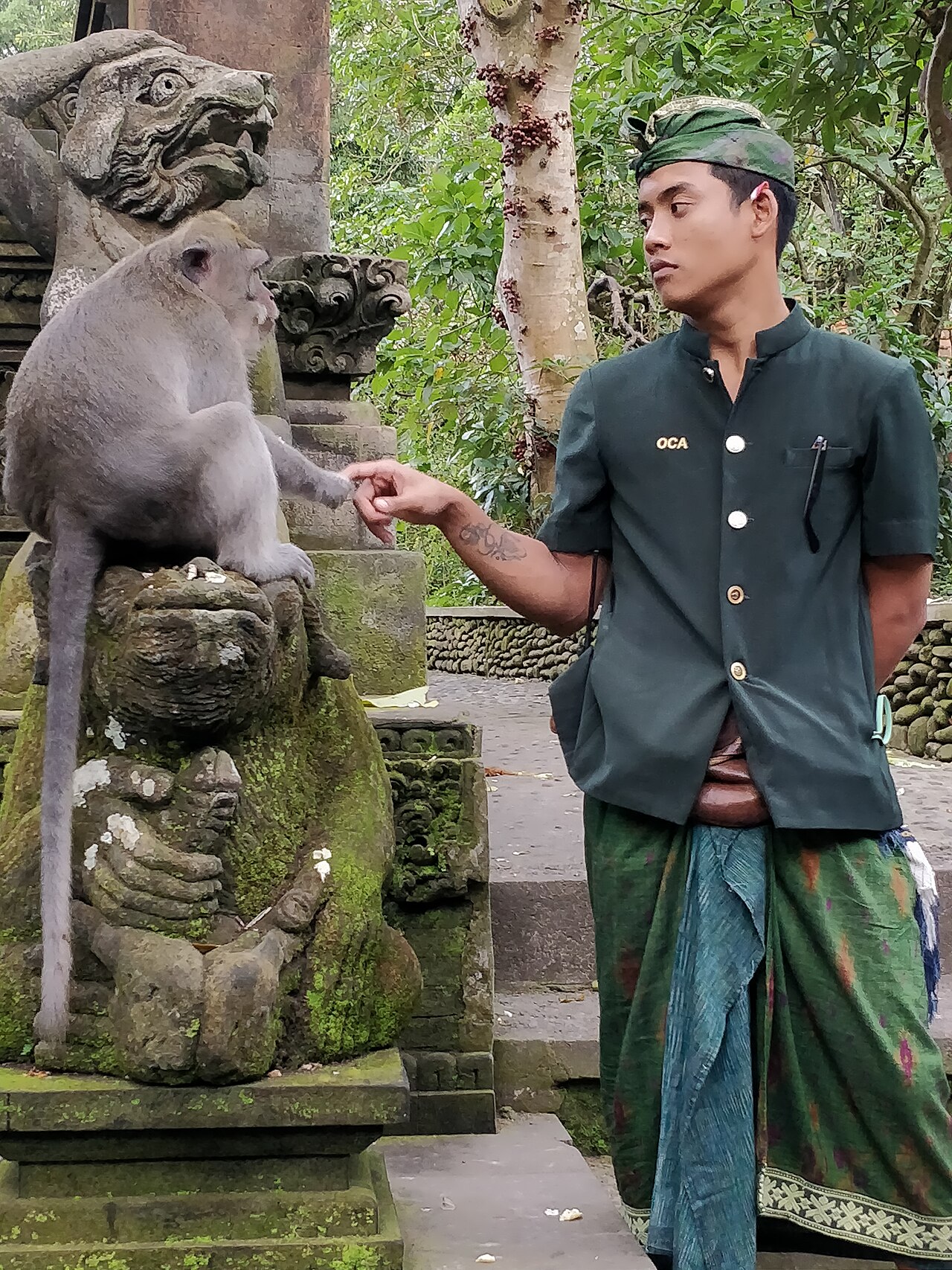 Sacred Monkey Forest in Ubud