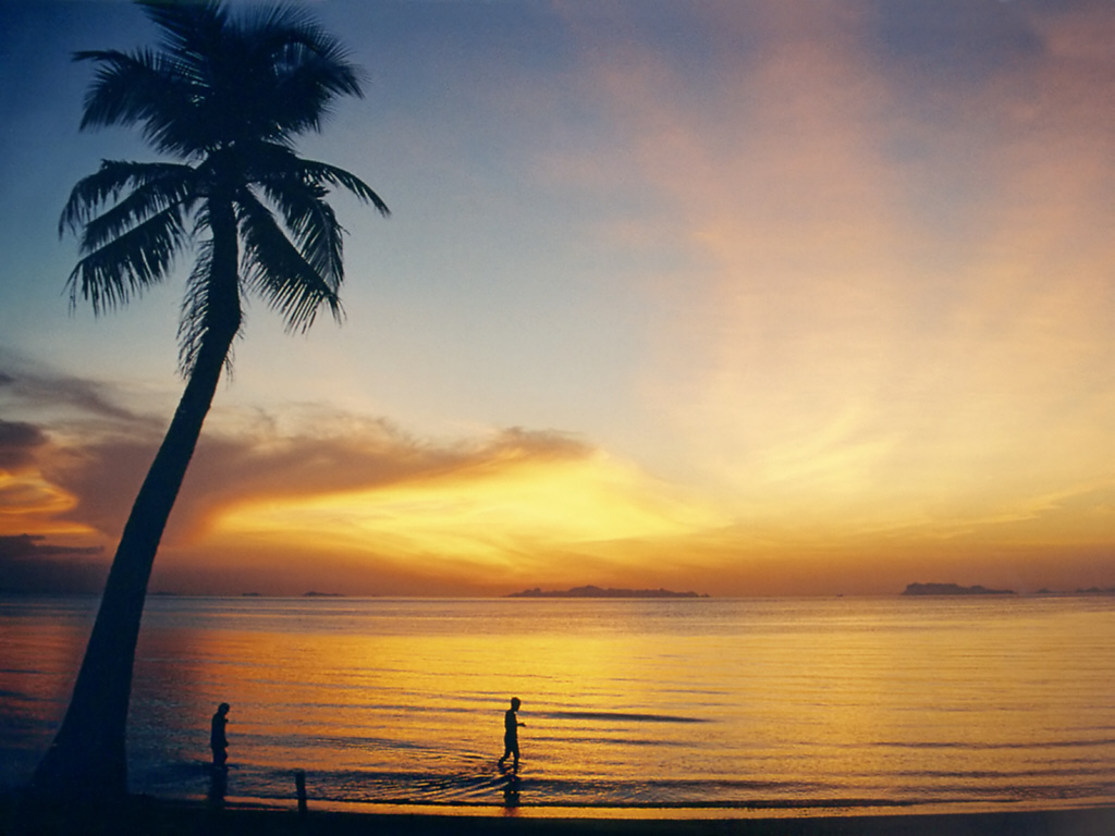 Palm trees and calm turquoise water at Koh Samui beach