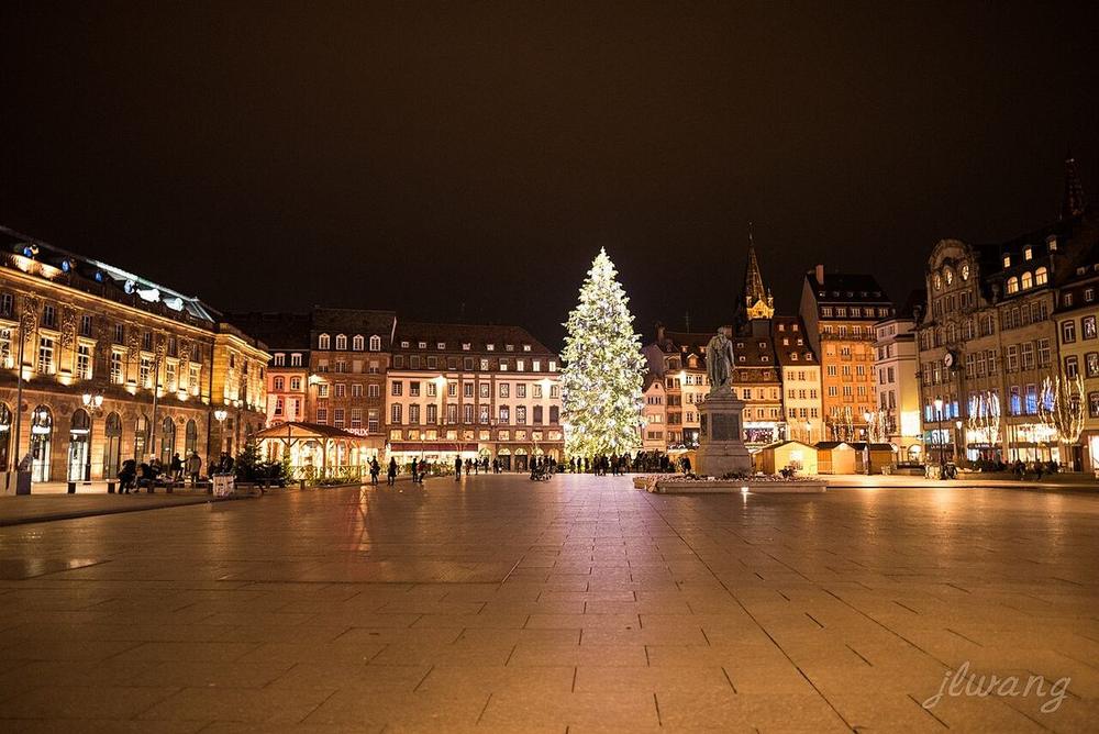 The tree on Place Kléber, Strasbourg