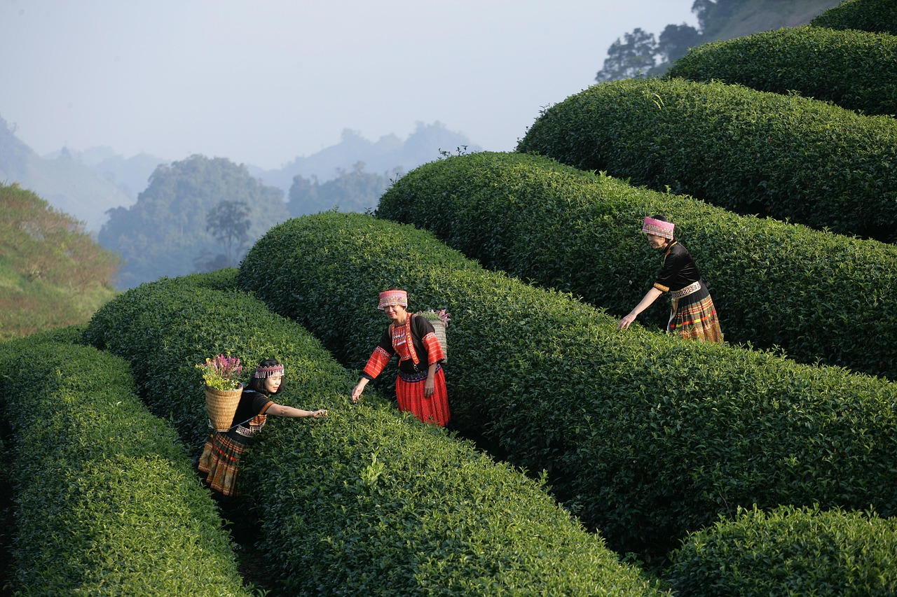 Vietnam 14 days travel itinerary - day by day guide with budget and tips